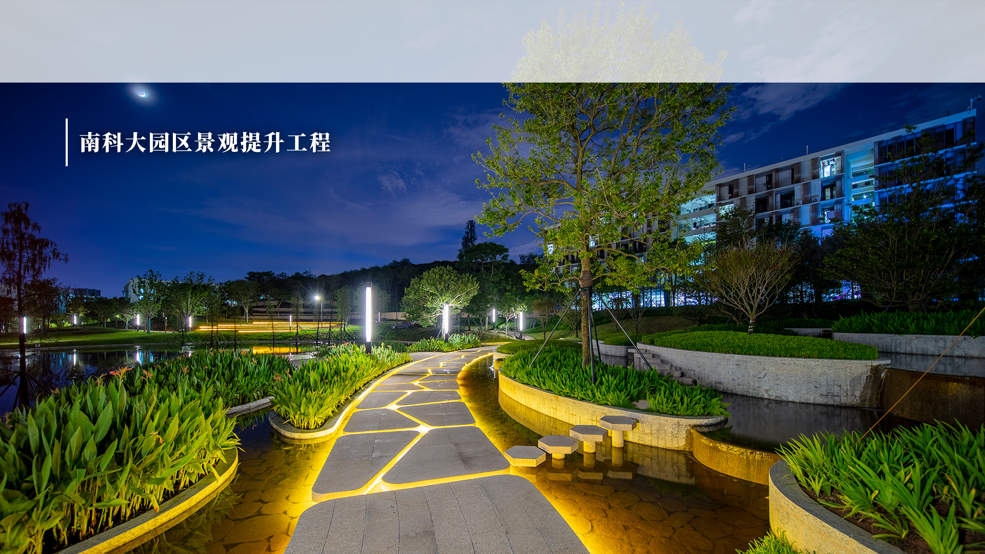 南科大園區(qū)景觀提升工程